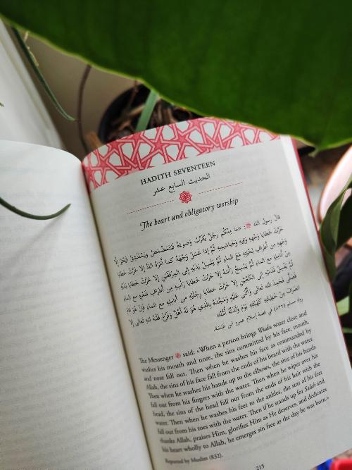 Heart Therapy: 40 Hadith on Tazkiyah and Soul Purification