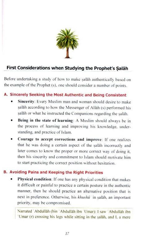 Performing Salah Using the Prophetic Example - Summary Edition